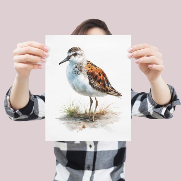 Watercolor Sandpiper Bird Portrait Wall Art Print, Unframed - Coastal Serenity - Picture 4 of 7